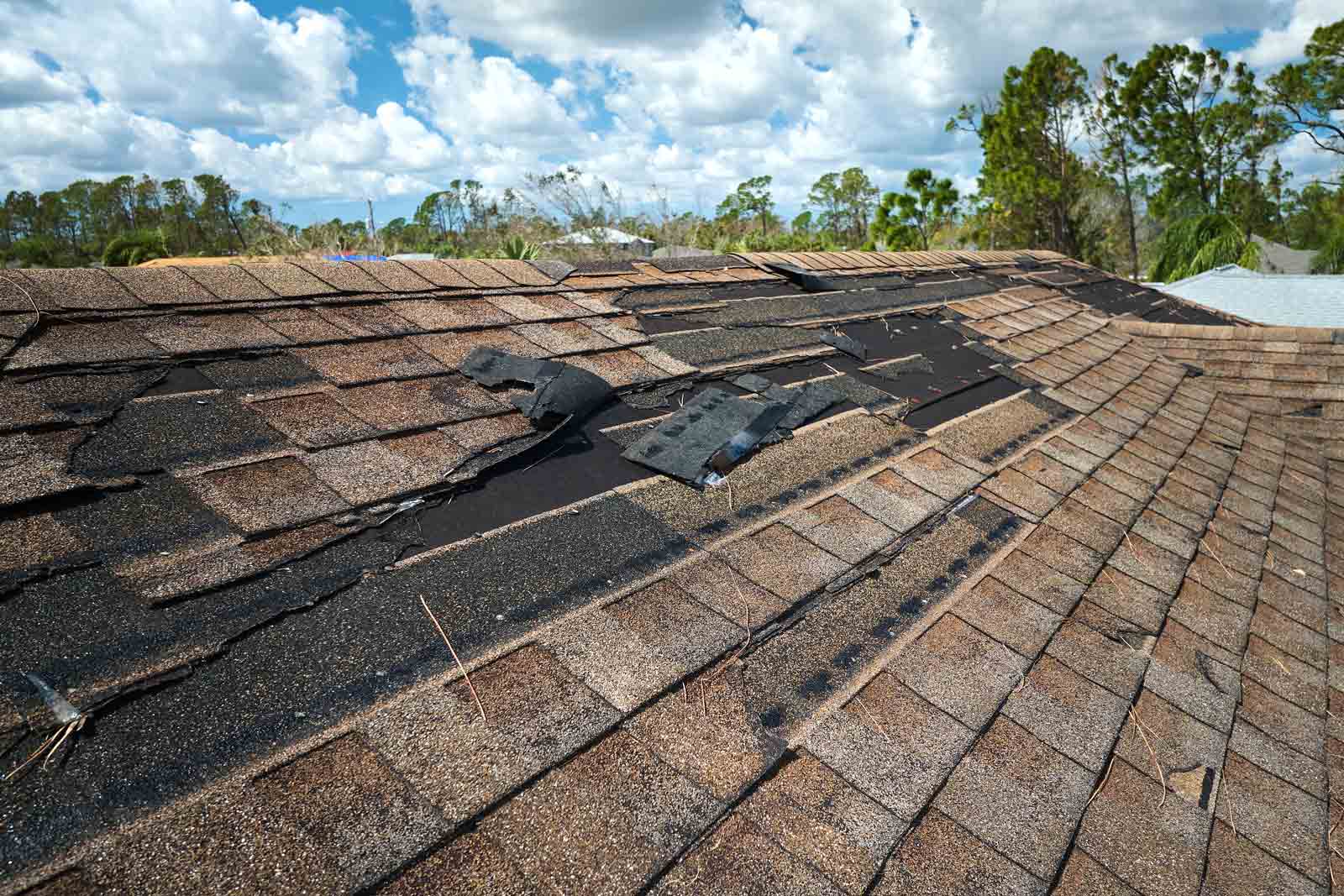 Best Types Of Roof Shingles For Boise Idaho Homes Buildproroofing